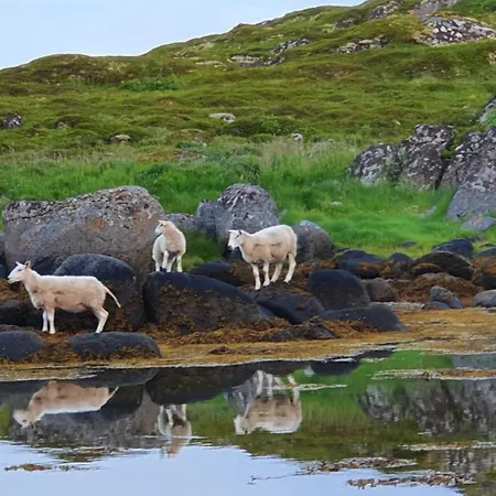 Апартаменты Lofoten Seaside *