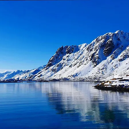 Lofoten Seaside Leilighet *